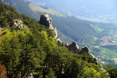 Прикрепленное изображение: A58DSC08363.jpg